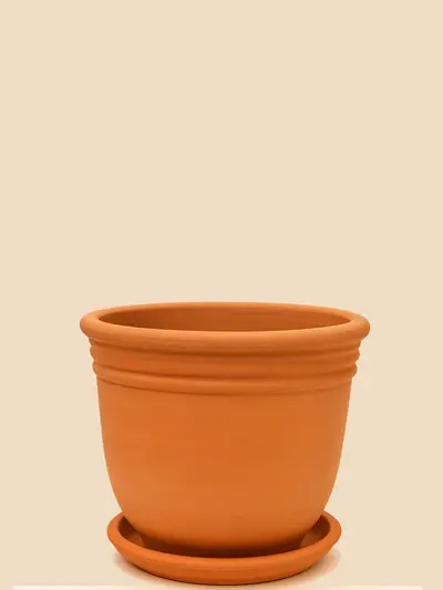 Terracota Doğal Saksı No 2 Ø20cm -  Saksilar - Lalezar Botanik